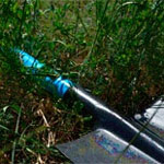 Garden, vegetable garden and landscaping